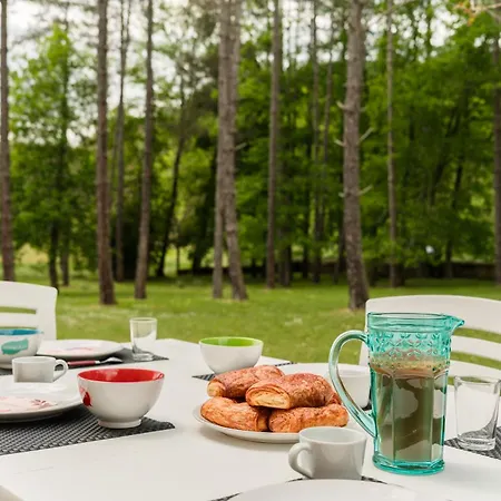 De Charme Paisible Gourdon Sarlat